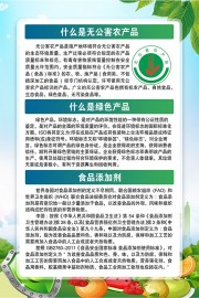 食品安全科普宣传挂图下载