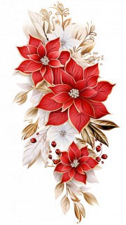彩绘花朵图片