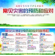 常见灾害的预防和应对宣传展板