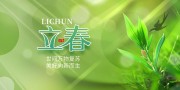 立春节气海报图片素材
