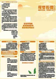 母婴传播乙流健康科普宣传三折页图片