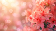 ��ɫ�ž黨���컨��ͼƬ�ز�