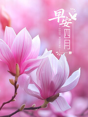 你好四月海报
