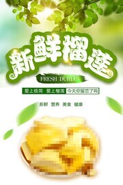 新鲜榴莲促销海报