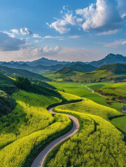 油菜花田乡村风景