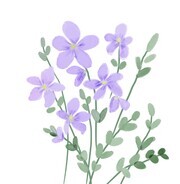 水彩花卉图片素材下载