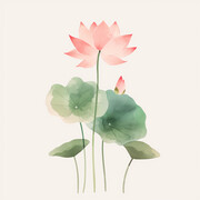 荷花水粉画图片