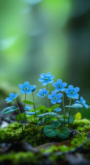 蓝色小花壁纸图
