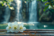 梨花风景壁纸