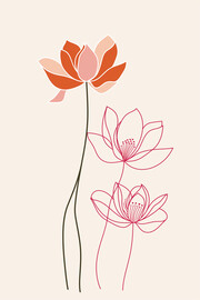粉色荷花装饰画