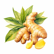 高清生姜图片