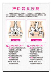 骨盆修复宣传海报