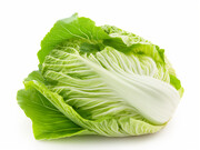 高清大白菜图片
