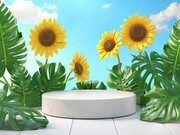 �ļ�չ̨���տ�����ɫֲ��ͼƬ