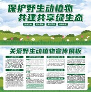 保护野生动植物宣传展板
