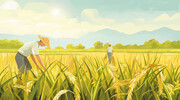 芒种插画的图片素材