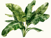 热带植物绿色叶子插画