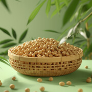 黄豆的图片素材