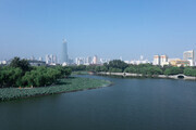 大明湖美丽的夏天景色