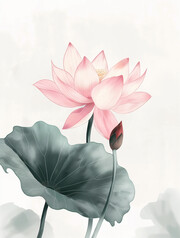 荷花中国风水墨插画图片