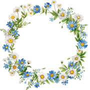 雏菊花纹花环的图片