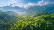 森林山脉风景壁纸