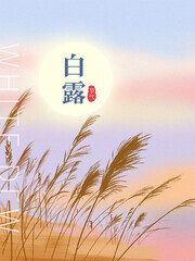 二十四节气白露海报