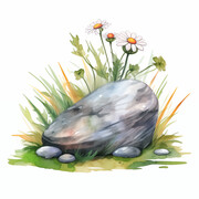 石头和小花的水彩插画图片