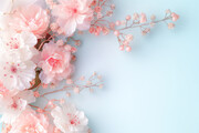 粉色花朵背景图片