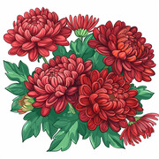 大气水彩菊花图