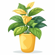 卡通植物盆栽插画图片