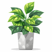 卡通植物盆栽插画
