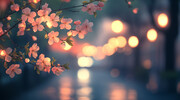 樱花模糊灯光背景