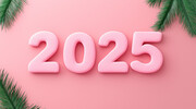 2025���ַ�ɫ��ֽ