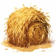 手绘草垛插画