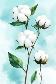 水彩白色棉花图片