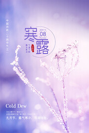 寒露二十四节气宣传海报