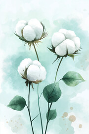 水彩棉花果实图片