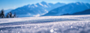 工作总结PPT封面雪地背景