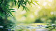 竹叶背景高清图片