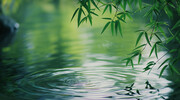 竹叶背景高清图片