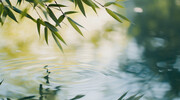 水边竹叶背景图片