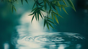竹叶背景高清图片素材