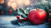 ʥ����ƽ��ҹƻ������