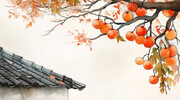 柿柿如意插画图片