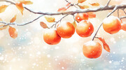 水彩冬天柿子插画背景