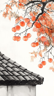 中国风柿子插画图片