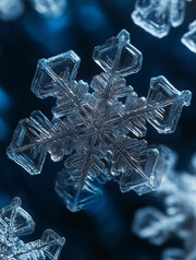 冰晶雪花特写图片
