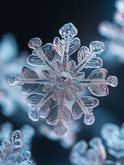 冰晶雪花特写图片