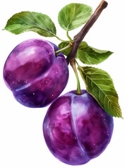 ����ˮ����дͼƬ